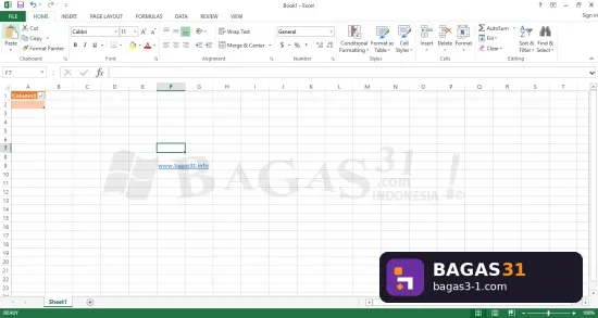Microsoft Office 2013