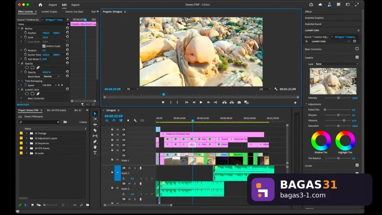 Adobe Premiere Pro (1)
