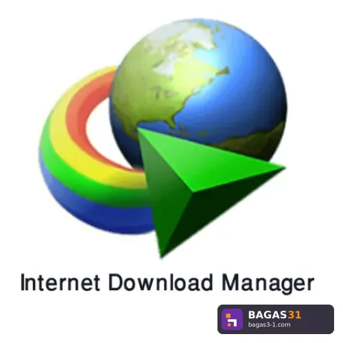 INTERNET DOWNLOAD MANAGER