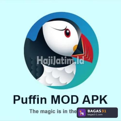 PUFFIN WEB BROWSER