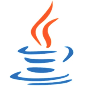 Java SE Runtime Environment