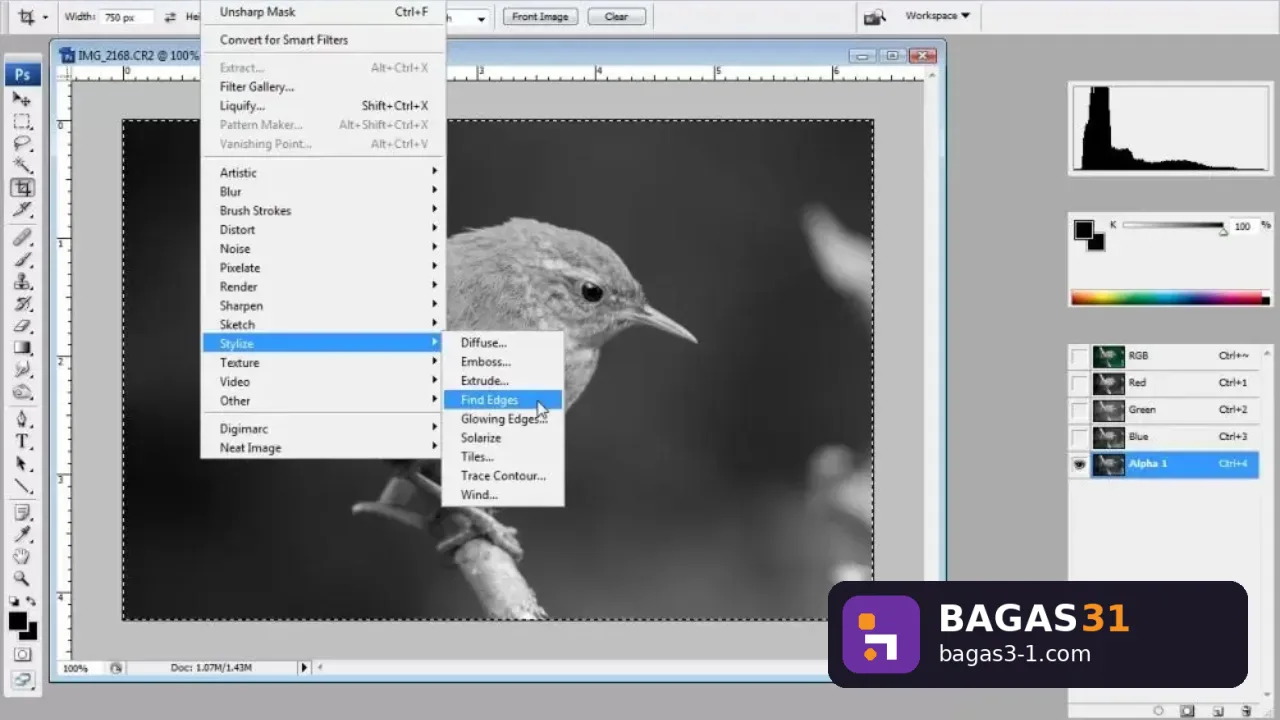 Portable Adobe Photoshop