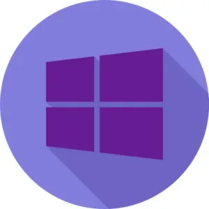 Windows 10 Pro