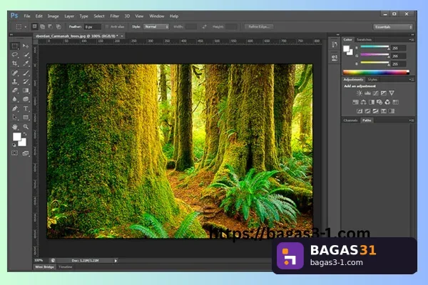 Adobe Photoshop CS6 - Download Gratis Full Version | Bagas31