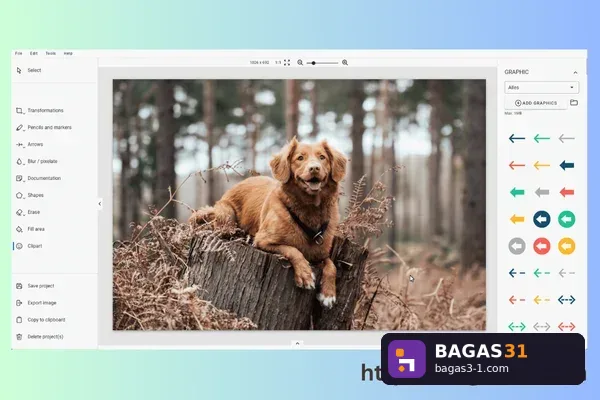 Ashampoo Snap - Download Gratis Full Version | Bagas31