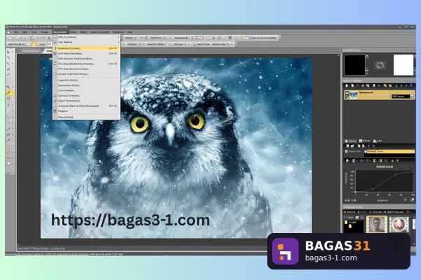 PHOTO POS PRO 2026 - Download Gratis Full Version | Bagas31