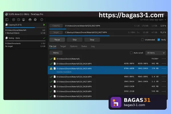 TeraCopy Pro 2026 - Download Gratis Full Version | Bagas31