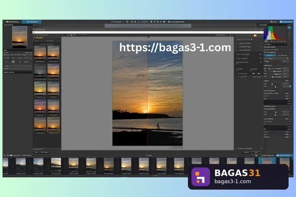 Nik Collection By DxO - Download Gratis Full Version | Bagas31