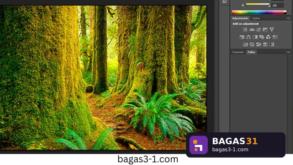 Adobe Master Collection bagas3-1.com (1)