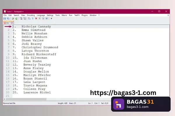 Notepad++ - Download Gratis Full Version | Bagas31