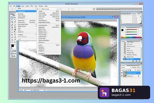 Adobe Photoshop CS3 - Download Gratis Full Version | Bagas31