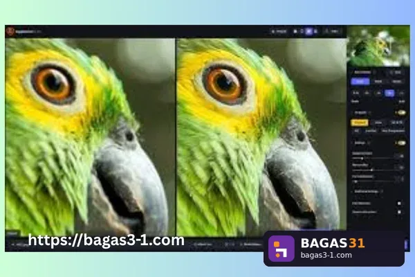 Topaz Gigapixel AI - Download Gratis Full Version | Bagas31