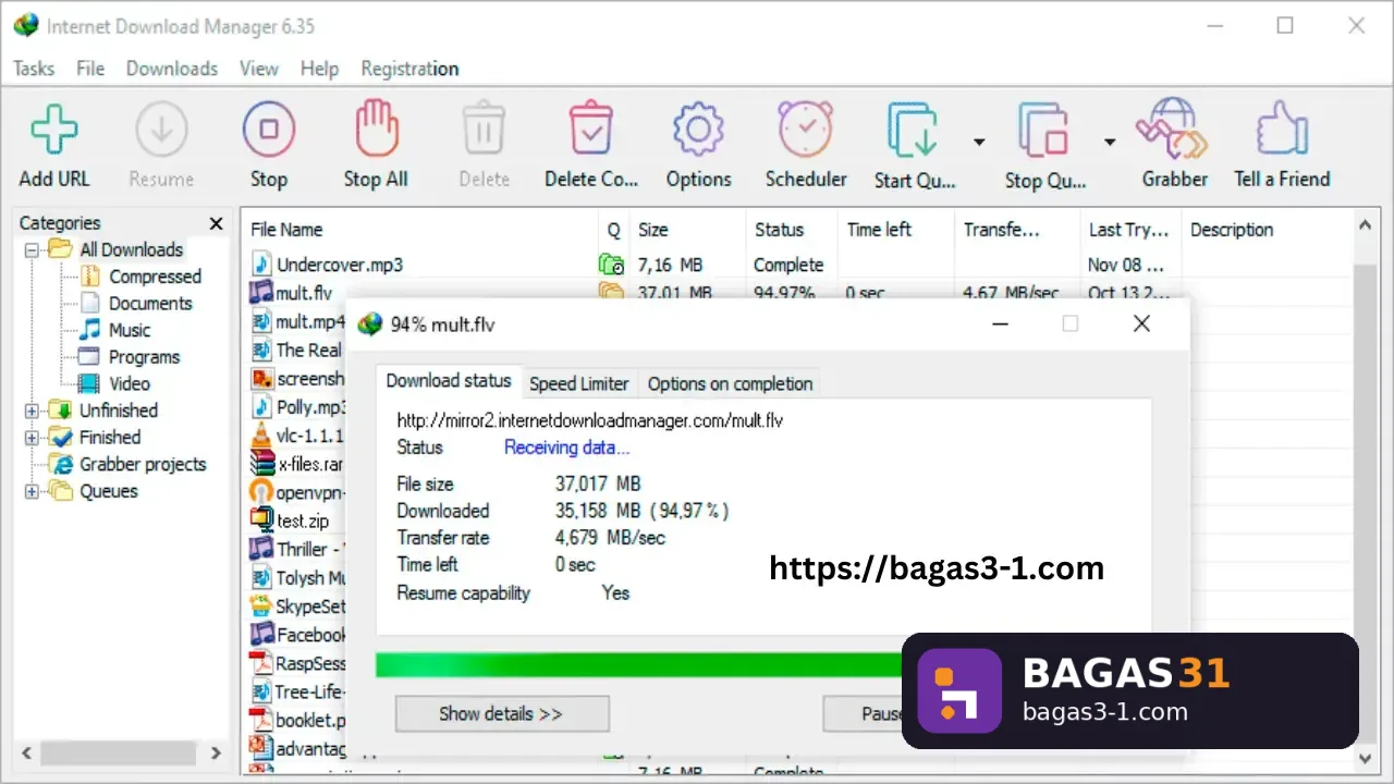 Internet Download Manager Terbaru Download